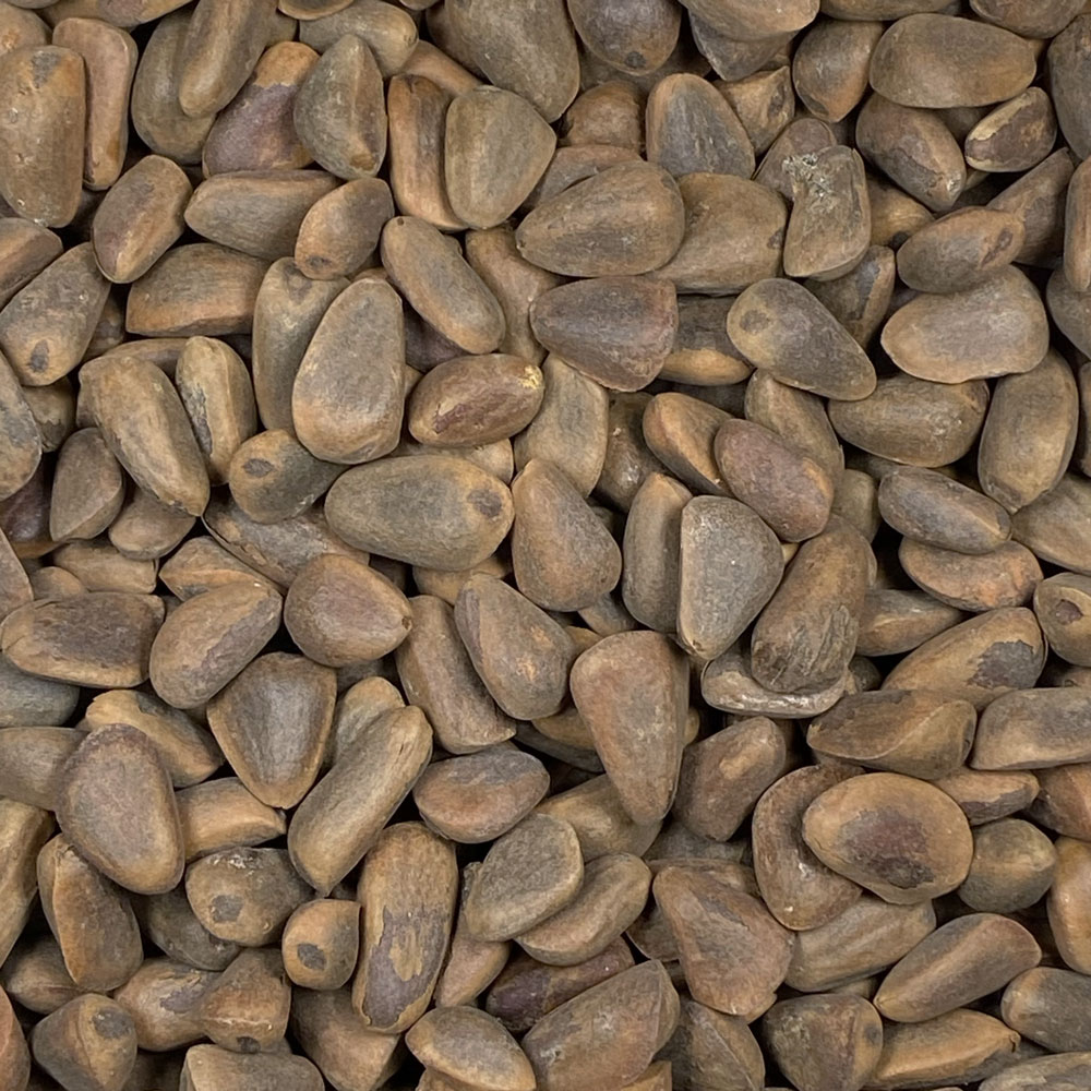 Featherglow Fancy Pinenuts - Image 2