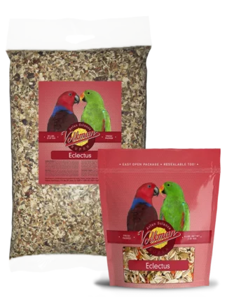 Avian Science Super Eclectus