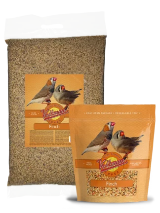 Avian Science Super Finch