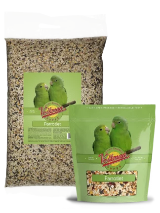 Avian Science Super Parrotlet