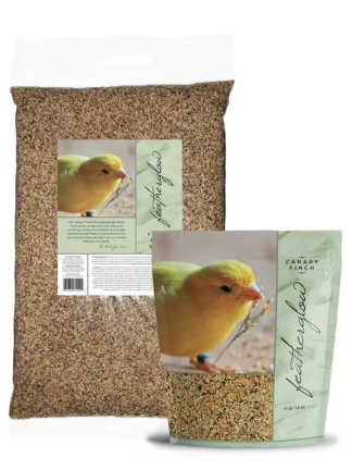 Featherglow Canary/Finch