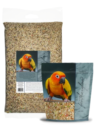 Featherglow Small Hookbill