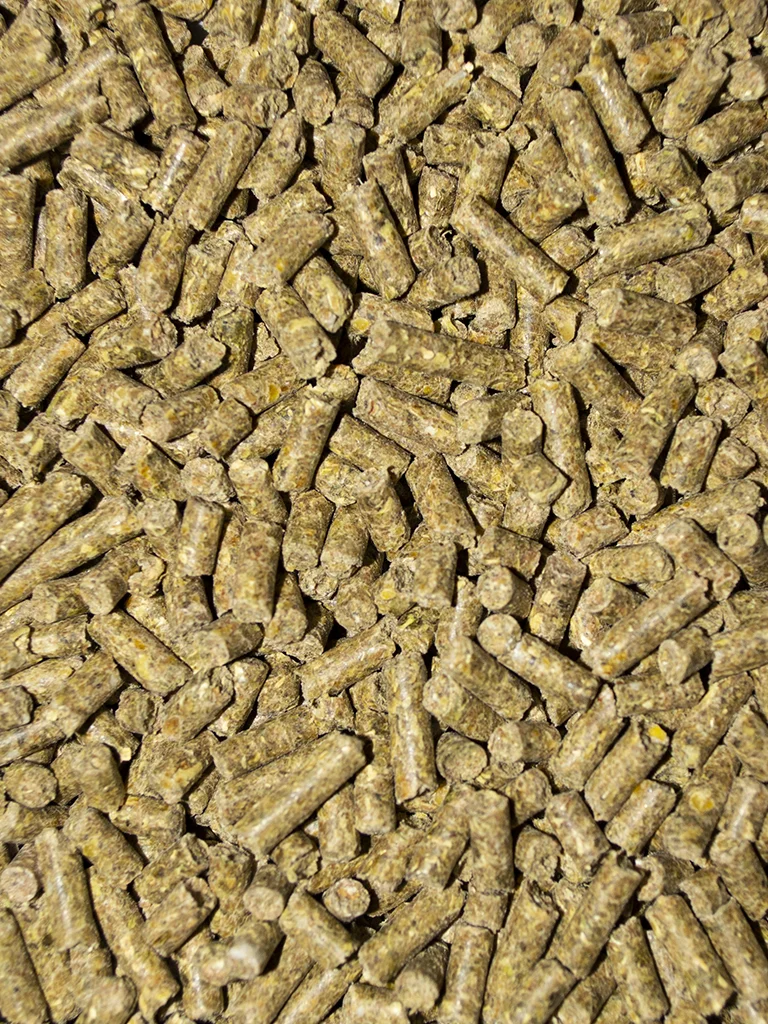 Guinea Pig Pellets - Image 2