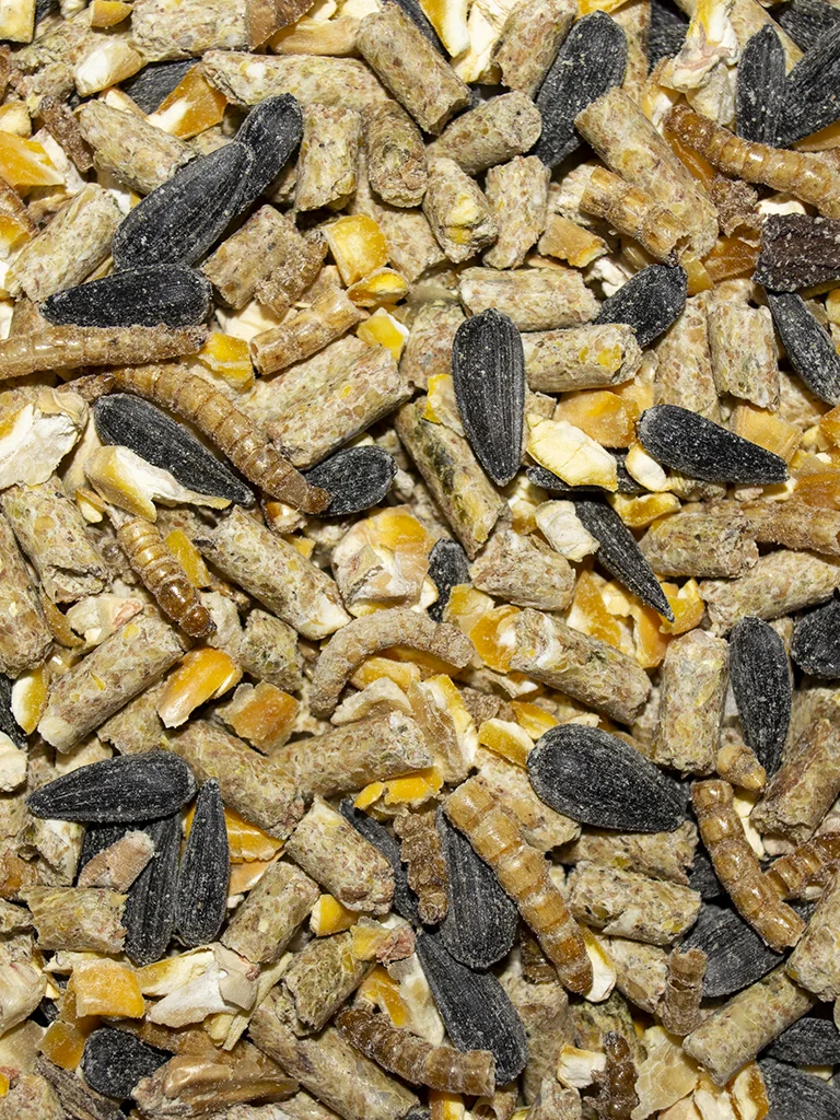 Henny Penny Peck N Hen Treat - Image 4