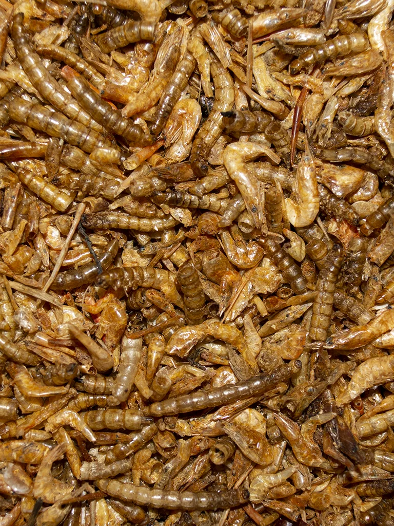 Henny Penny Shrimp And Mealworm Gourmet - Image 6