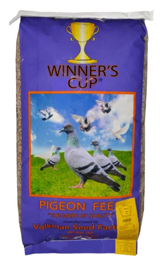 Winner's Cup 16% Gold With Popcorn