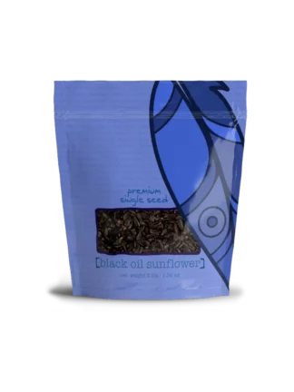 Small Black Oil Sunflower