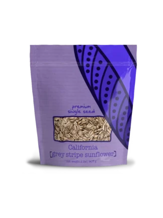 Grey Stripe Sunflower