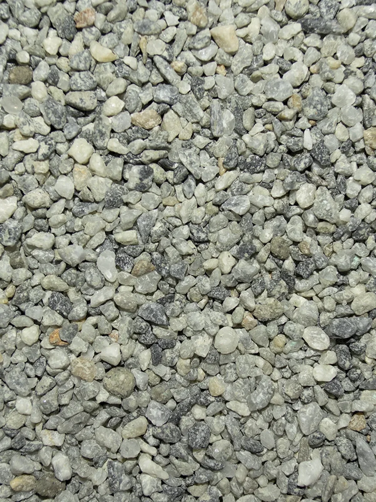 Super Garlic Grit - Image 2
