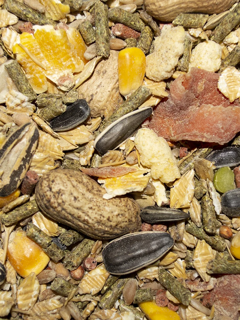 Volkman Rodent Gourmet - Image 6