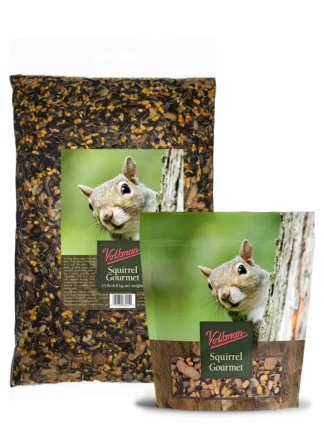 Volkman Squirrel Gourmet