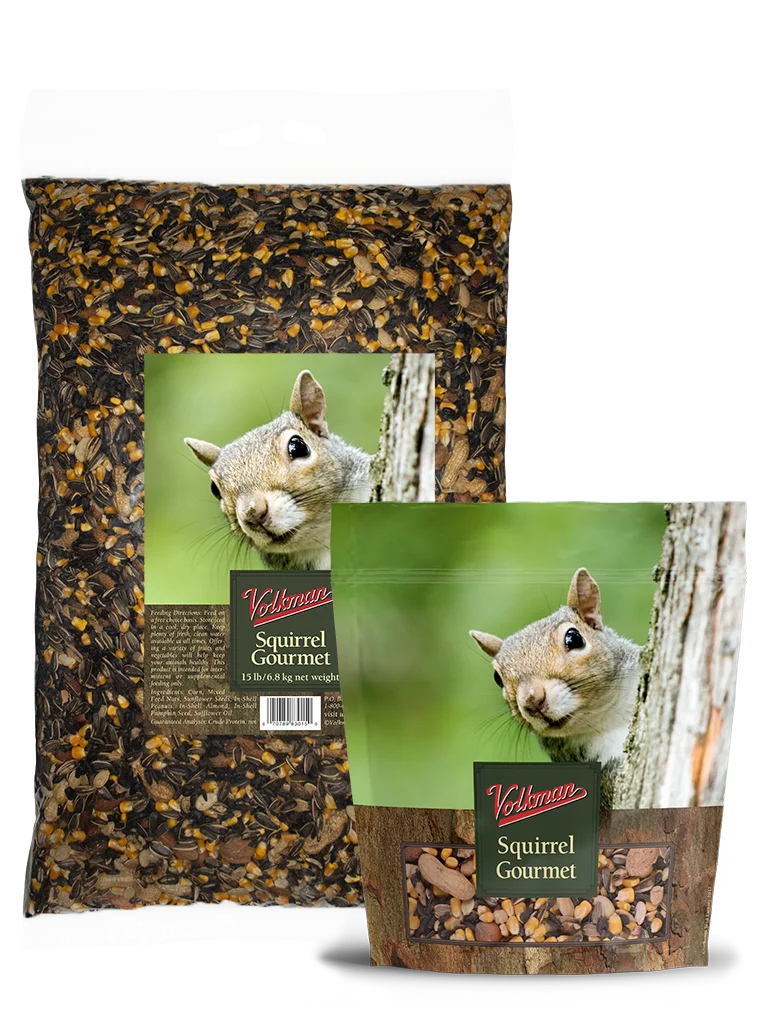 Volkman Squirrel Gourmet