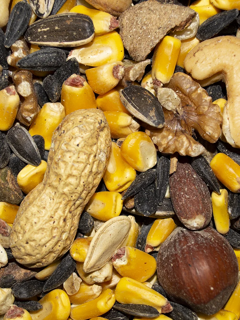 Volkman Squirrel Gourmet - Image 4