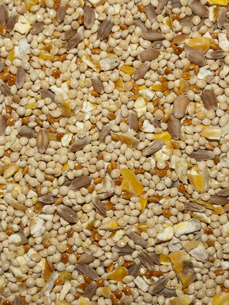 Western Delight Wild Bird Premium No Sunflower - Image 2