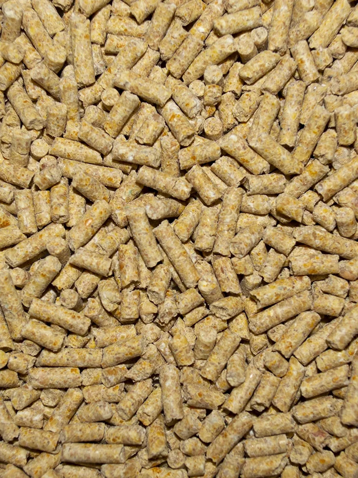 Winner's Cup 28% Breeder Pellets - Image 2